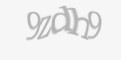 Защитный код