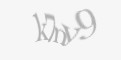 Защитный код